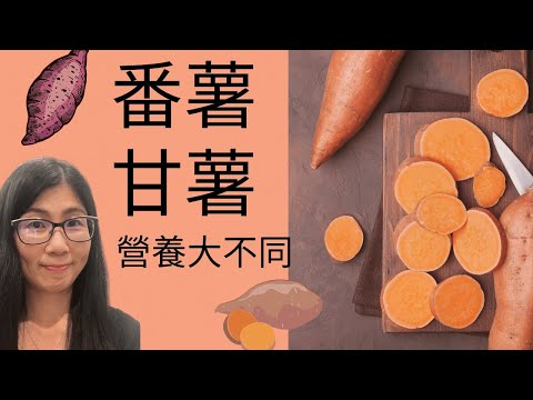 番薯 甘薯 營養分別 - 如何分辨番薯和甘薯  sweet potato vs yam nutrition | 營養師媽媽 Priscilla (中文/EngSub)