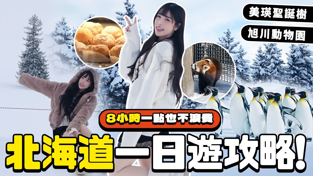 北海道自由行8小時極限挑戰！旭山動物園、精靈之丘、美瑛聖誕樹全制霸！超簡單包車懶人攻略｜根本在旅行 縮圖