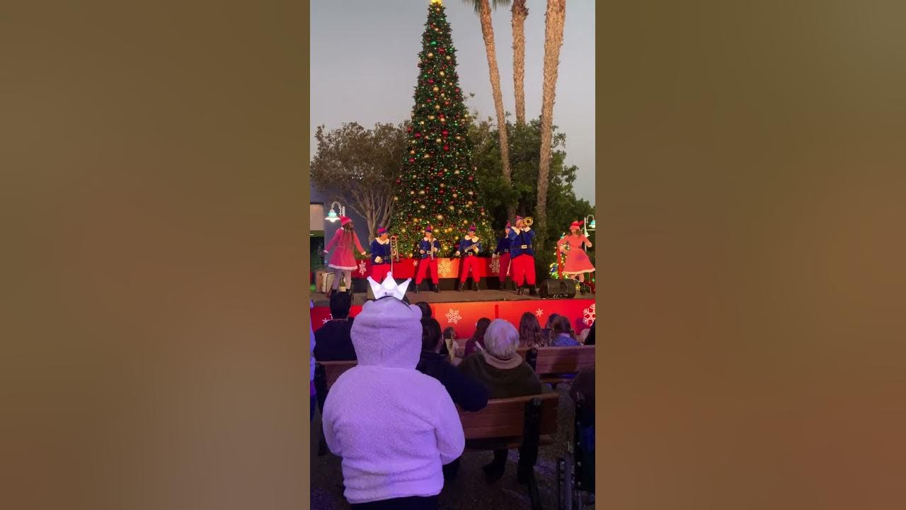 Seaworld San Diego Christmas tree lighting Seaworld San Diego Christmas