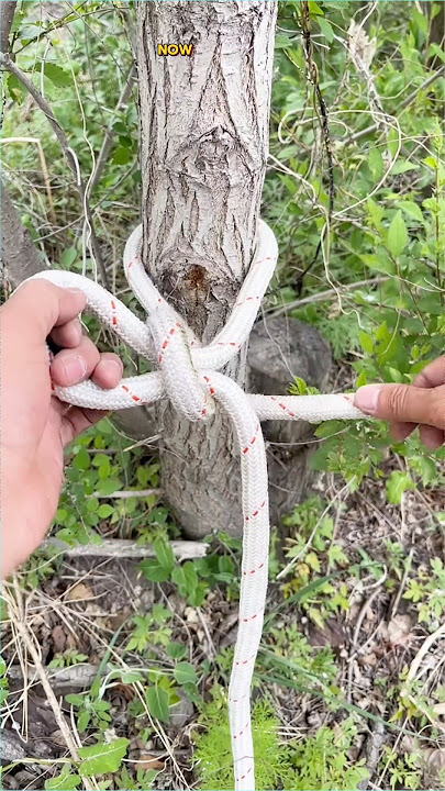 The Knot That Never Fails – Loop Knot Trick for Climbing & Daily Use