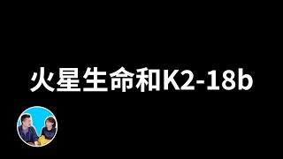 迄今為止最可信的地外生命信號 | 老高與小茉 Mr & Mrs Gao