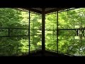 【4K】新緑の京都(2017/4/28・5/3・5/5)