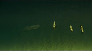 Огромный Кит Уничтожает 3 шлюпки ... отрывок из фильма (В Сердце Моря/In The Heart of The Sea)2015