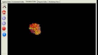 20090908 2D Epithelium Tumor Mass