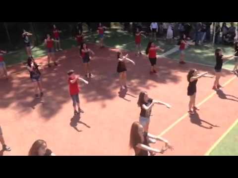 149-ე სკოლის \"ფლეშმობი\" 2015