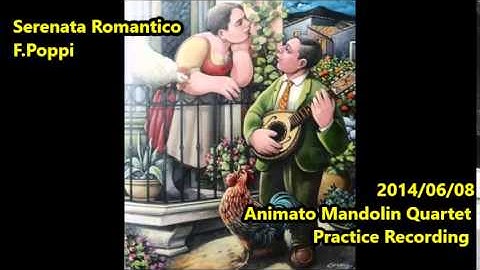 20140608 Serenata Romantico (F.Poppi) - Animato Mandolin Quartet