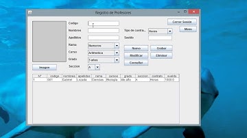 Manipulación de Archivos Binarios con Arreglos, Presentación en Java Netbeans