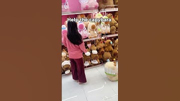 Help the capybara #bemorishow #shorts #capybara #teddybear