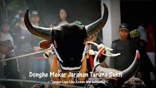 Dhonge Mekar Bantengan-Jaranan Taruna Sakti