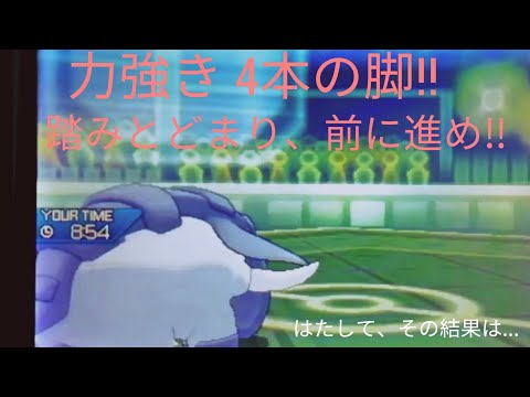 [ポケモンUSUM]4足歩行ポケモンでレーティングバトル！