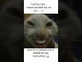 What I like #shortvideo #cat #phonkagressive#funny #animegif#animeedit #catshorts#cute#catgirlcoin