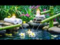 Relaxation Music: Bamboo Water Fountain + Healing Piano 🌿 Sleep Music, Meditation and Nature Sounds