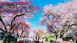 The Classic Illustration  Darling I Love You s