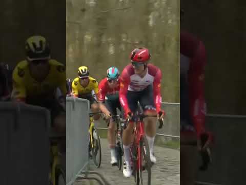 La première attaque de Julian Alaphilippe sur À travers la Flandre #shortsvideo #shorts #cycling