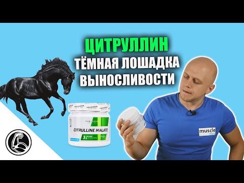 Как цитруллин поднимет выносливость? Обзор Progress Nutrition Citrulline Malate