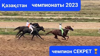 Бәйге Қазақстан чемпионаты 2023 07.10.2023 СЕКРЕТ 🏆чемпион  Секреттің шабысын қараңыздар