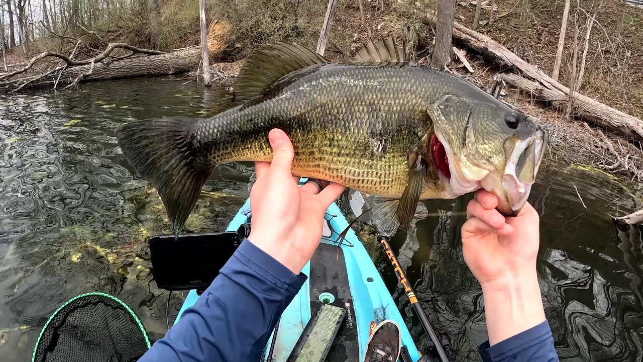 Catching GIANT Bass on a Heavy NED RIG! Michigan Prespawn Bass Fishing