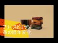 革の経年変化（エイジング）をご紹介します！