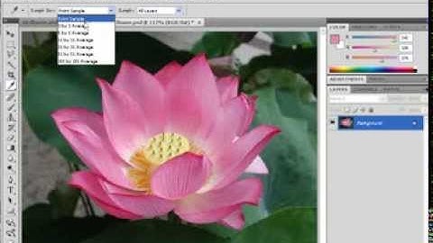 MAGIC WAND TOOL, Creating Selections in Photoshop CS-4 - Chapter 6