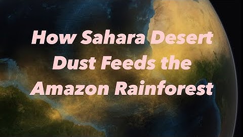 How Sahara Desert Dust Feeds the Amazon Rainforest.