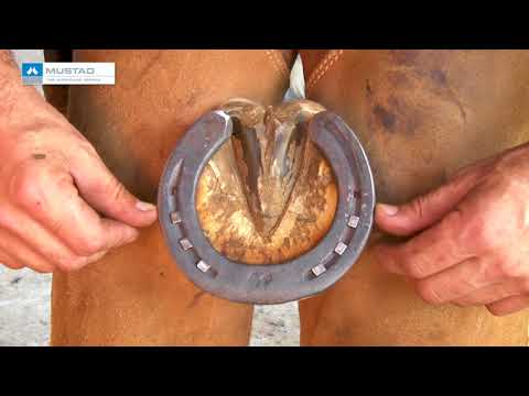 TV UC - How to fix the horseshoe - Horseshoeing step by step 4