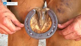 TV UC - How to fix the horseshoe - Horseshoeing step by step 4