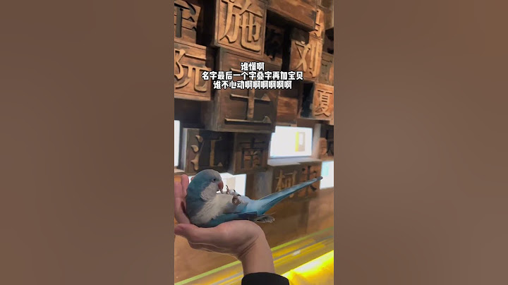 看到可爱的鸟，这谁不心动啊~#搞笑视频 #鹦鹉 #鸟 #萌宠 #治愈 #shorts
