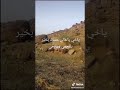 قصيده ياخي الغالي عساك بخير