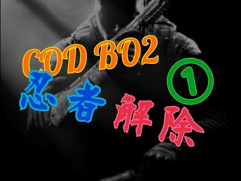 COD:BO2　忍者解除①　〜私は忍者だ～