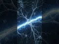 neurology । science । #science #facts #gk #trending #trend #gkquiz