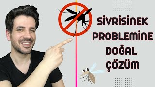 Sivrisinek Sorununa Kesin Çözüm - Doğal Sivrisinek Kovucu Yapımı Resimi