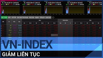Vì sao VN-Index giảm liên tục? | VTC Tin mới