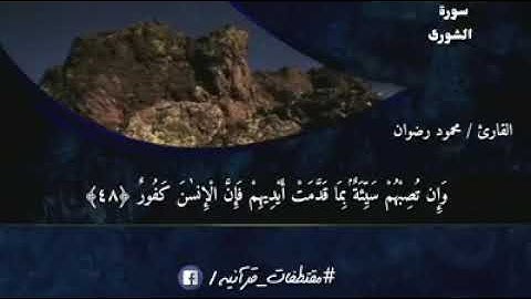 ما تيسر من سورة . الشورى