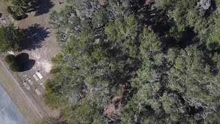 The heartbreak of Harris Neck