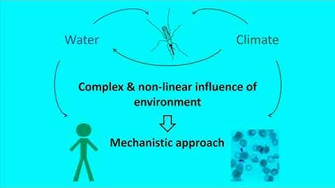 PHAM 2017 | Climate Change Impact on Malaria in Africa | Noriko Endo