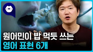 원어민이 밥 먹듯 쓰는, 꼭 알아야 하는 영어 표현 6개로 직접 말해봅시다!