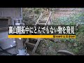 裏山開拓してたら土の中からとんでもないもの出てきた
