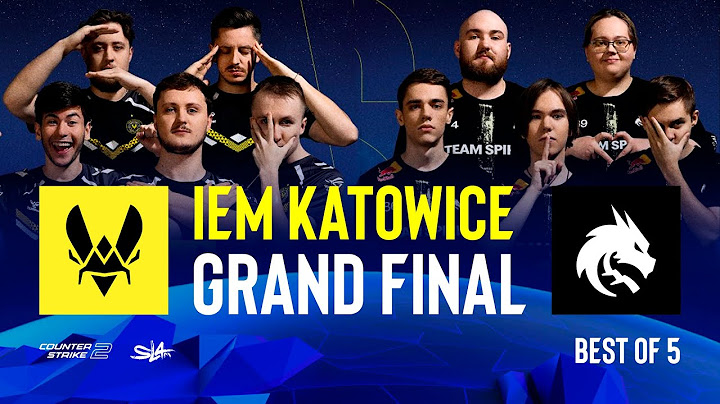 IEM KATOWICE 2025 GRAND FINAL BO5