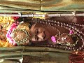 Jagadguru Mahā Periava's aradhana 2014