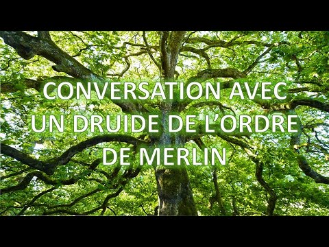 1 - CONVERSATION AVEC UN DRUIDE DE L'ORDRE DE MERLIN