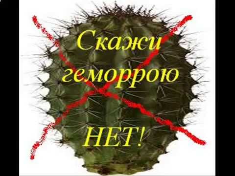 мазь от геморроя при беременности мазь от геморроя при беременности