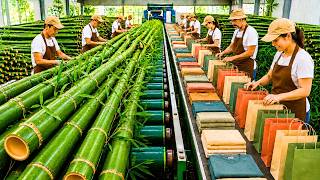 How Billions of Bamboo Trees Become Paper, T-Shirts and Soft Towels | Full Factory Process screenshot 5