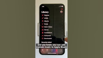 How to Add Custom Music to Apple Music 🎶 | WALTR PRO