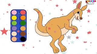 Draw and Paint Kangaroo