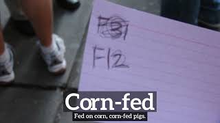What is Corn-fed | How Does Corn-fed Look | How to Say Corn-fed in English