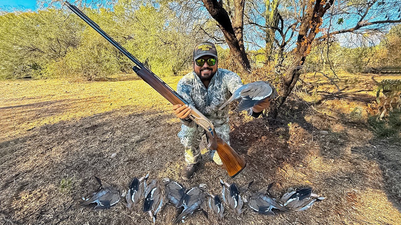Cacería de PALOMAS con ESCOPETA Beretta Calibre 20