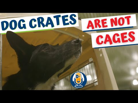 Wideo: Dlaczego Confining a Dog to Crate Is Fault