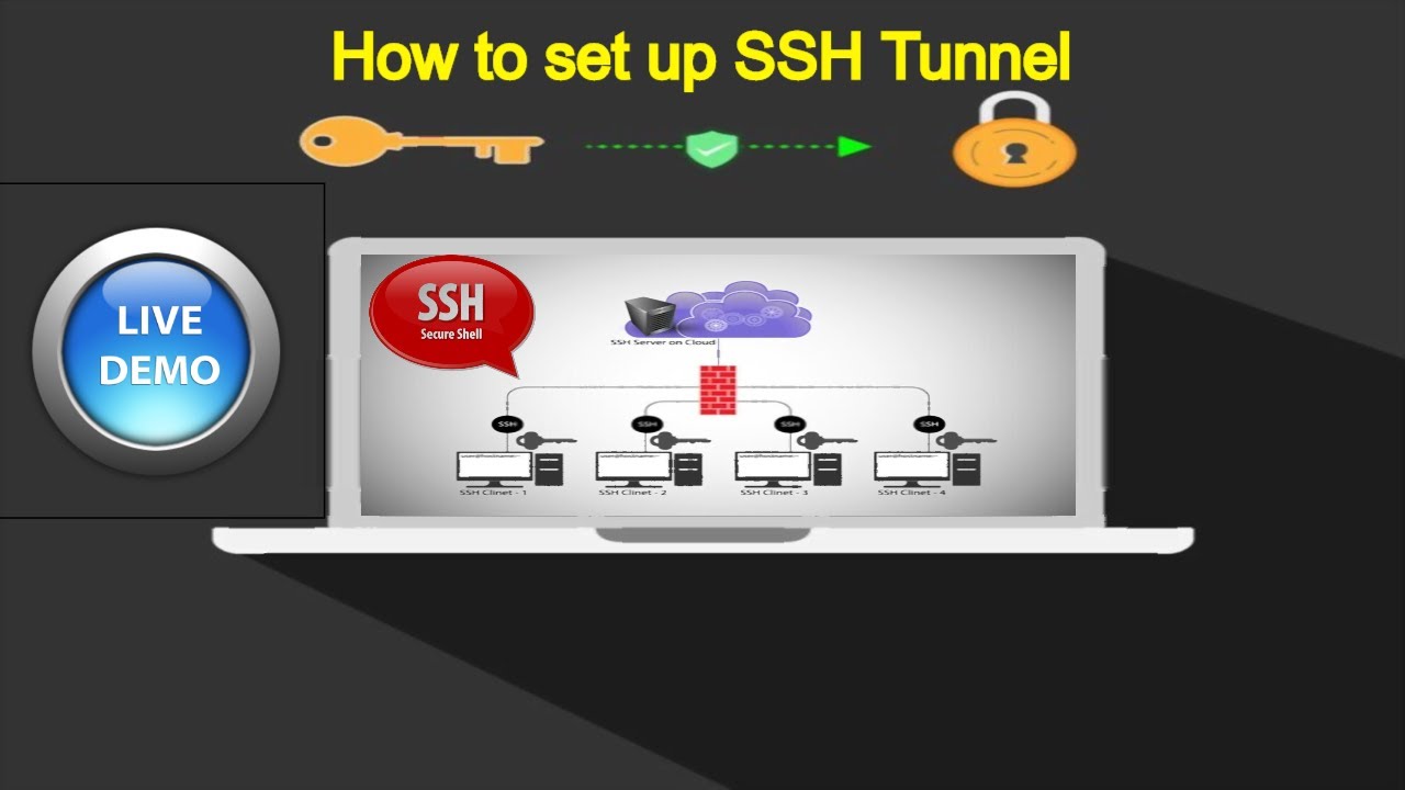 SSH туннель. SSH papka. Dynamic Port Techno. Ssh скрипты