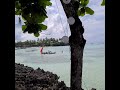 Gorgeous beach Zanzibar #shorts