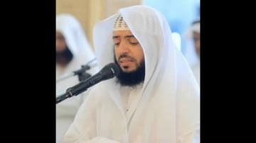 سورة القصص الشيخ وديع اليمني